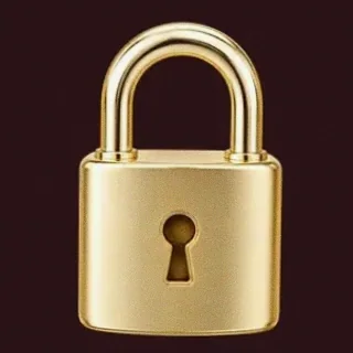 Metal padlock — Vincispin