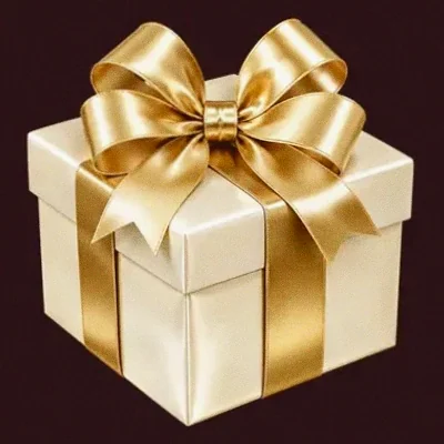 Ribboned gift box — Vincispin