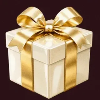 Wrapped gift box — Vincispin