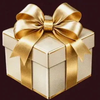 Gift box — Vincispin
