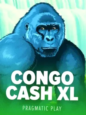 Congo Cash XL at Vincispin