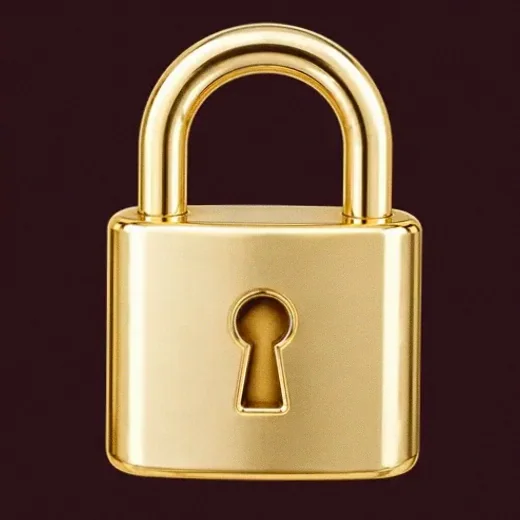 Metal padlock — Vincispin